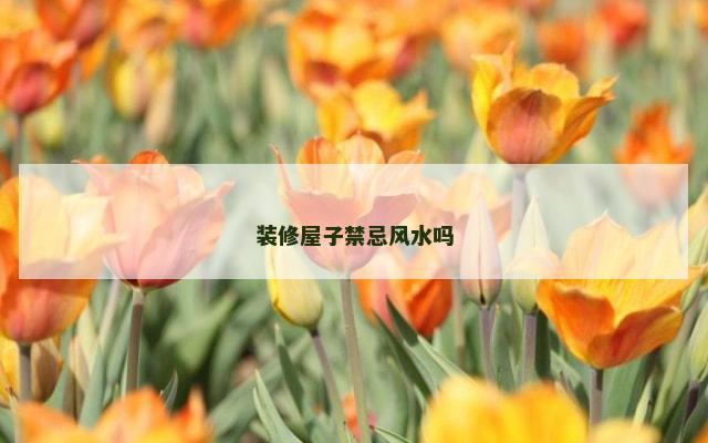装修屋子禁忌风水吗