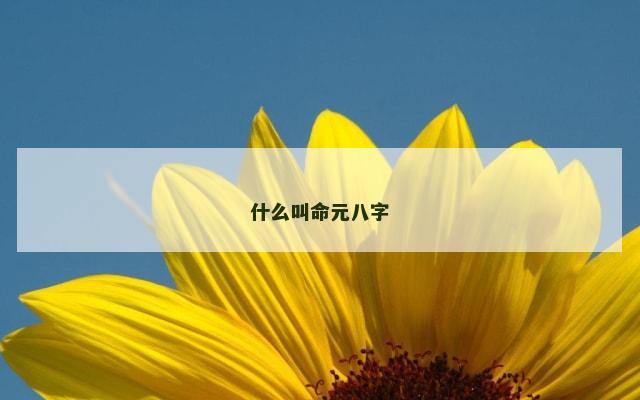 什么叫命元八字