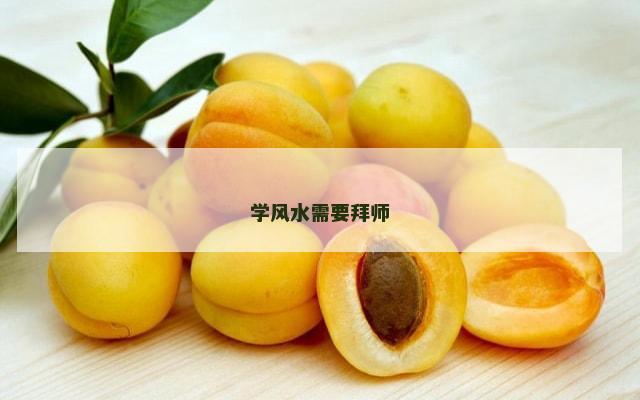 学风水需要拜师