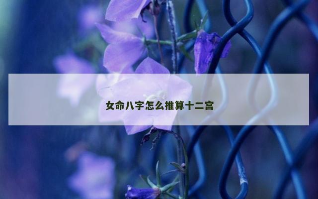女命八字怎么推算十二宫