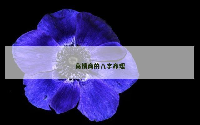 高情商的八字命理