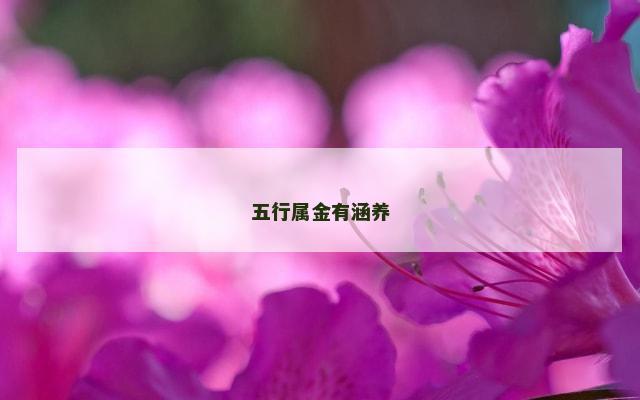 五行属金有涵养
