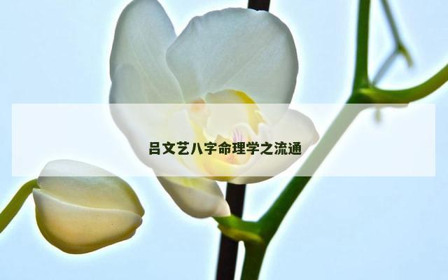 吕文艺八字命理学之流通