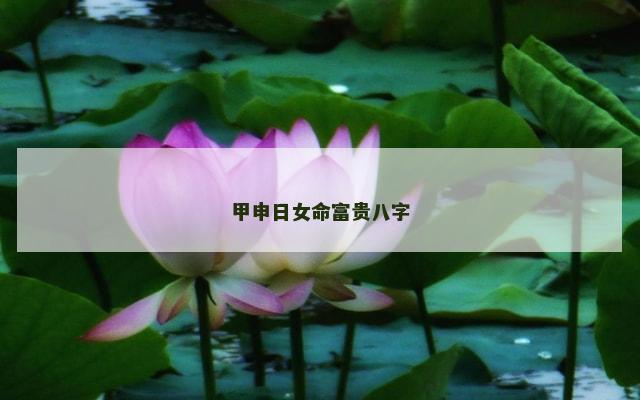 甲申日女命富贵八字