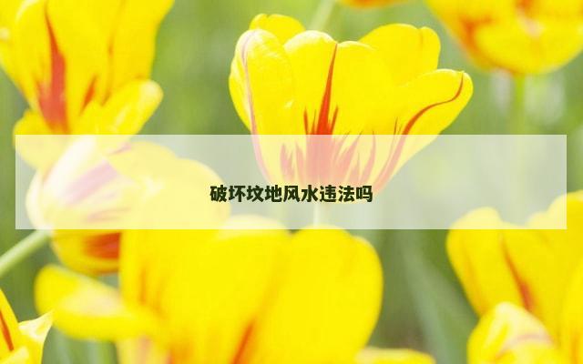 破坏坟地风水违法吗