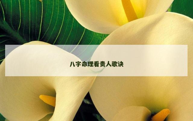八字命理看贵人歌诀