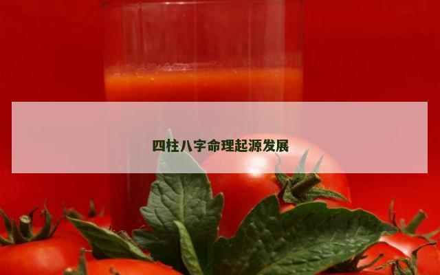 四柱八字命理起源发展