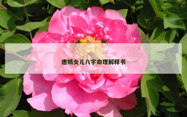 唐嫣女儿八字命理解释书