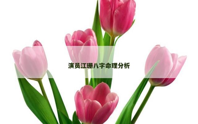 演员江珊八字命理分析