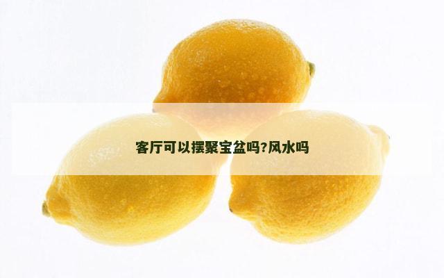 客厅可以摆聚宝盆吗?风水吗