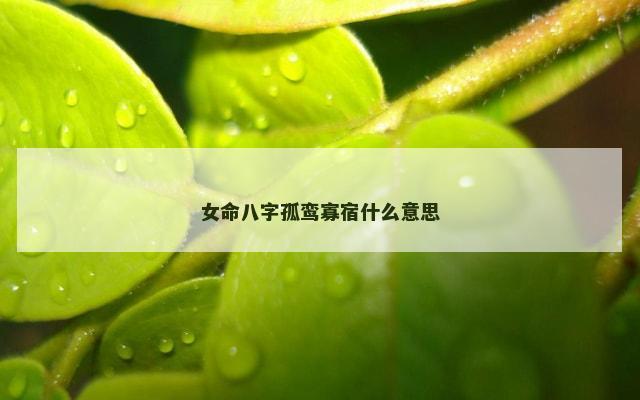 女命八字孤鸾寡宿什么意思
