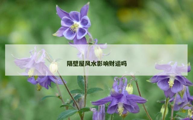隔壁屋风水影响财运吗