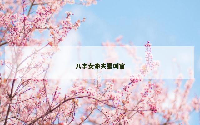 八字女命夫星叫官