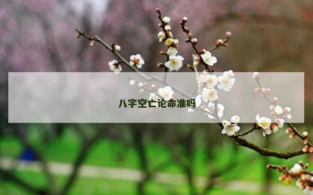 八字空亡论命准吗