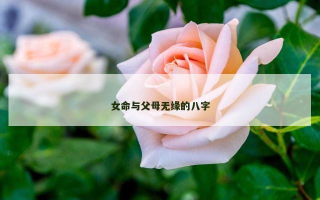 女命与父母无缘的八字