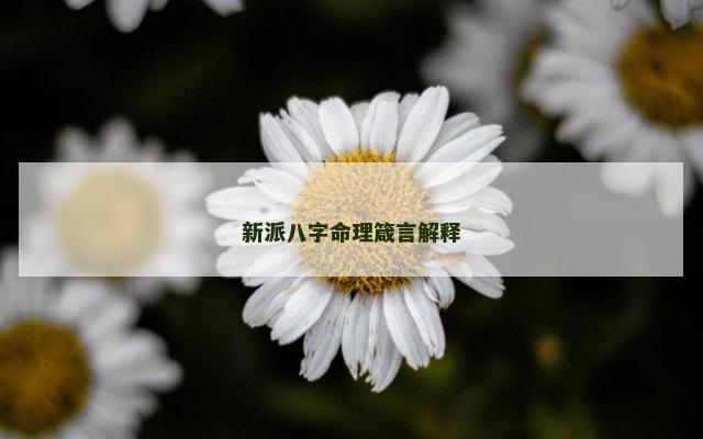 新派八字命理箴言解释