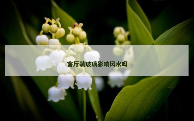 客厅装玻璃影响风水吗