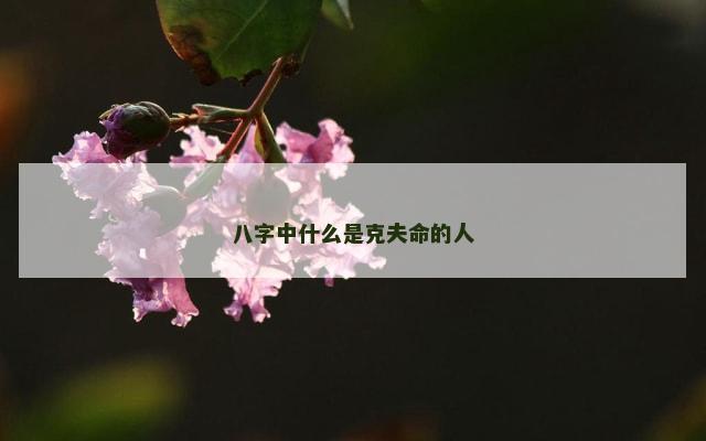 八字中什么是克夫命的人