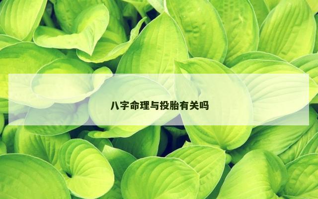 八字命理与投胎有关吗