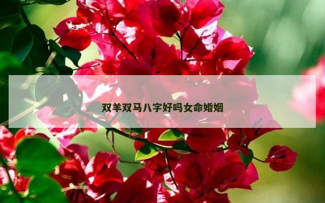 双羊双马八字好吗女命婚姻