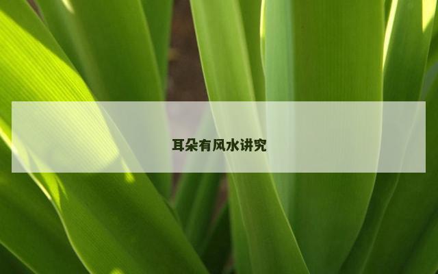 耳朵有风水讲究