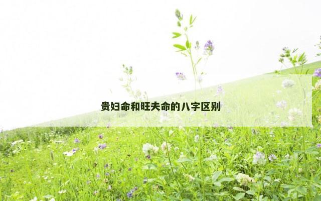 贵妇命和旺夫命的八字区别